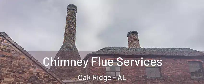 Chimney Flue Services Oak Ridge - AL