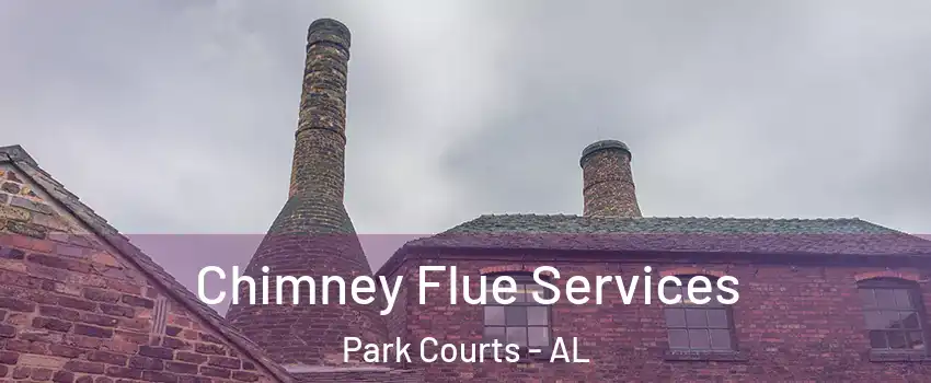 Chimney Flue Services Park Courts - AL