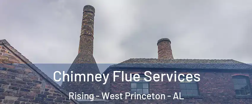 Chimney Flue Services Rising - West Princeton - AL