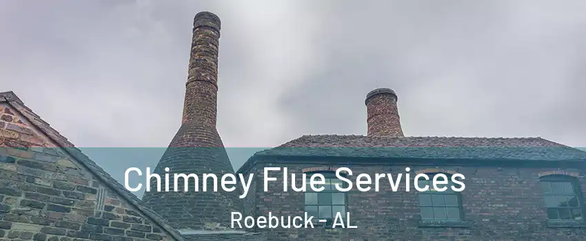 Chimney Flue Services Roebuck - AL
