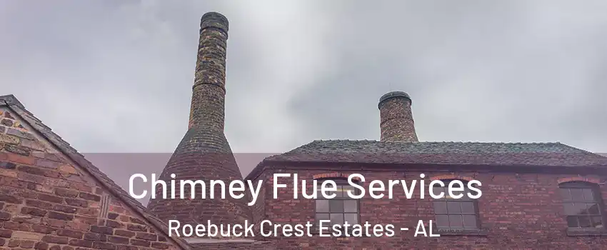 Chimney Flue Services Roebuck Crest Estates - AL