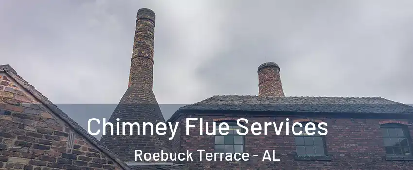 Chimney Flue Services Roebuck Terrace - AL