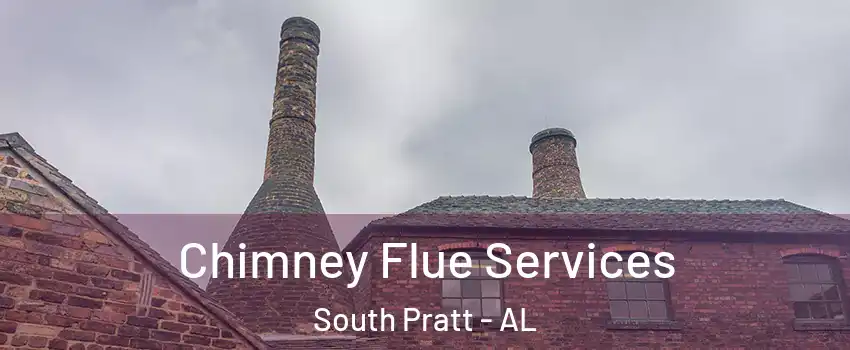 Chimney Flue Services South Pratt - AL