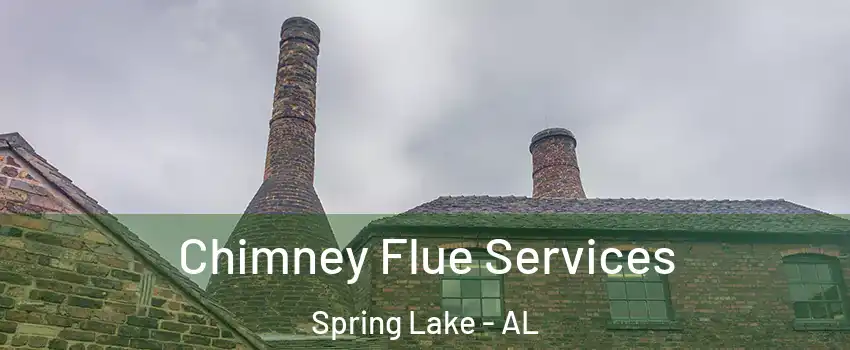Chimney Flue Services Spring Lake - AL