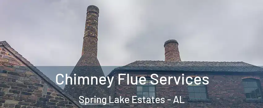 Chimney Flue Services Spring Lake Estates - AL