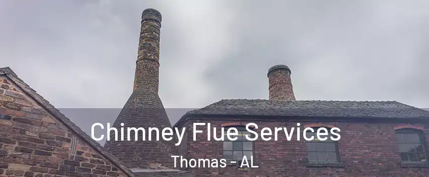 Chimney Flue Services Thomas - AL