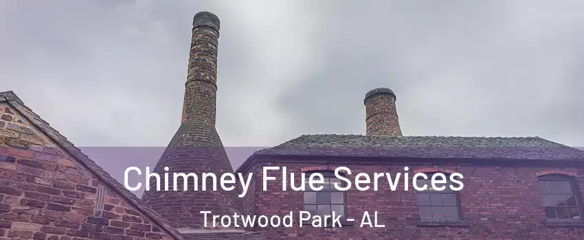 Chimney Flue Services Trotwood Park - AL
