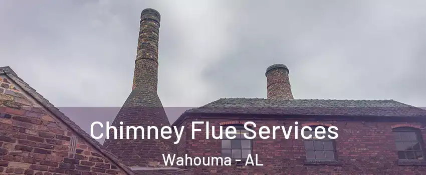 Chimney Flue Services Wahouma - AL