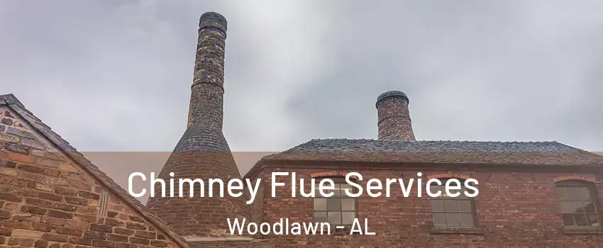 Chimney Flue Services Woodlawn - AL
