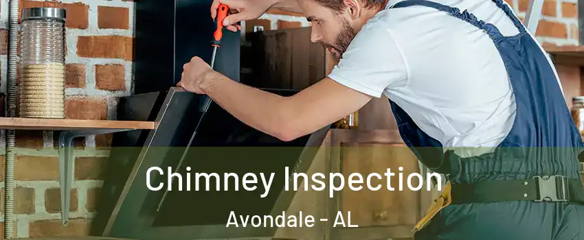Chimney Inspection Avondale - AL