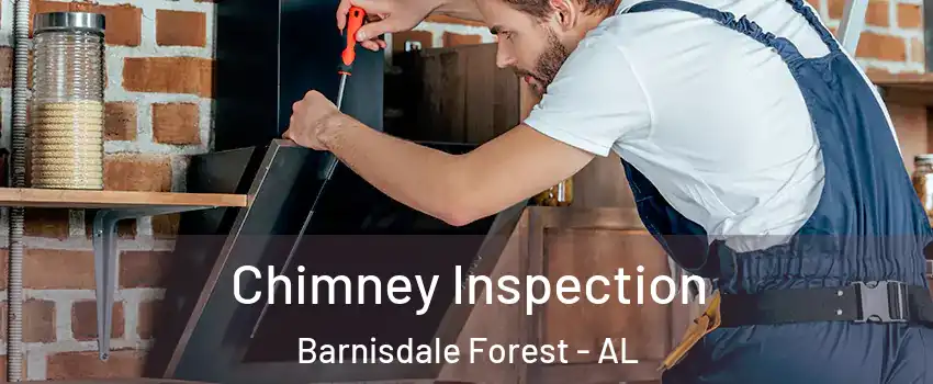 Chimney Inspection Barnisdale Forest - AL