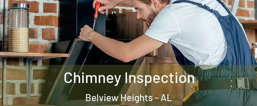 Chimney Inspection Belview Heights - AL