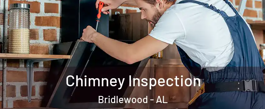 Chimney Inspection Bridlewood - AL