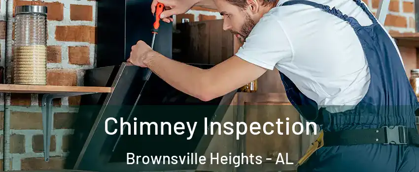 Chimney Inspection Brownsville Heights - AL