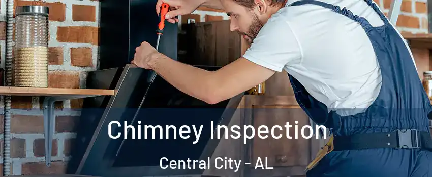 Chimney Inspection Central City - AL