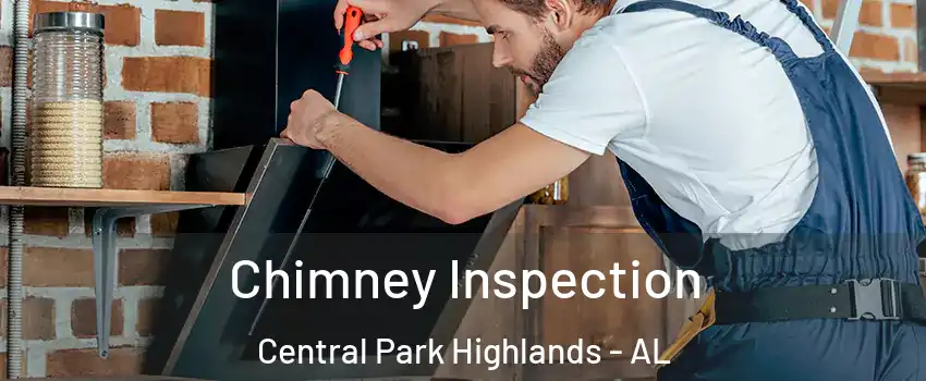 Chimney Inspection Central Park Highlands - AL
