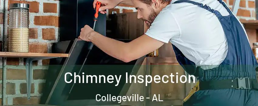 Chimney Inspection Collegeville - AL