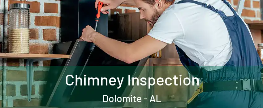 Chimney Inspection Dolomite - AL