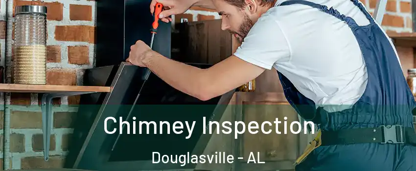 Chimney Inspection Douglasville - AL