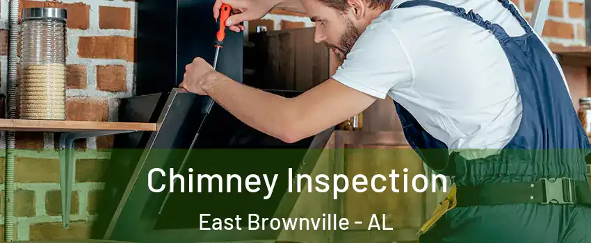 Chimney Inspection East Brownville - AL