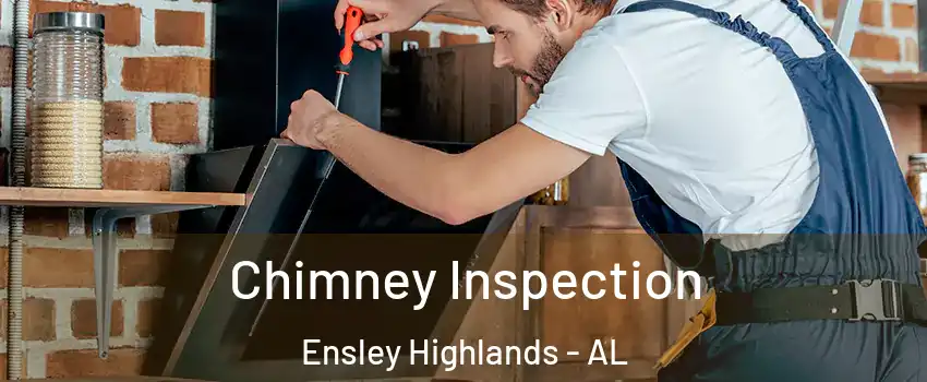 Chimney Inspection Ensley Highlands - AL