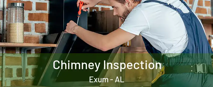 Chimney Inspection Exum - AL