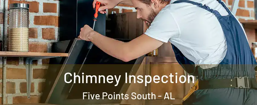 Chimney Inspection Five Points South - AL