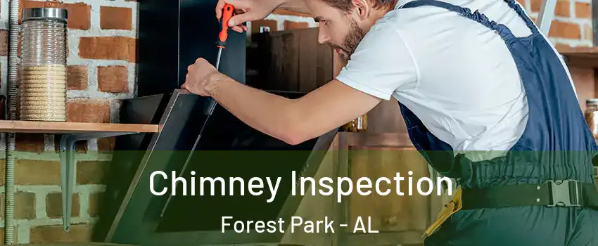 Chimney Inspection Forest Park - AL
