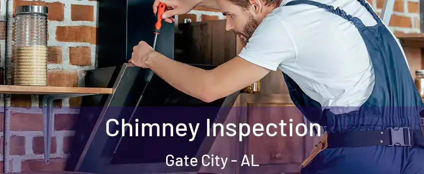 Chimney Inspection Gate City - AL