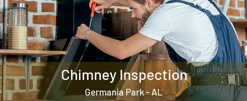 Chimney Inspection Germania Park - AL