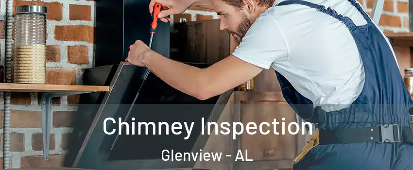 Chimney Inspection Glenview - AL