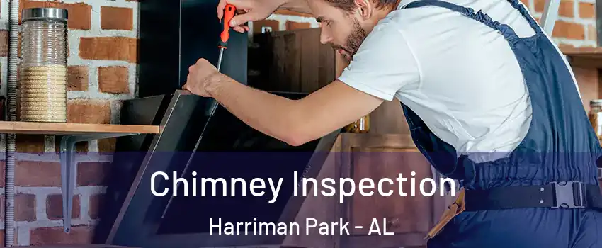 Chimney Inspection Harriman Park - AL