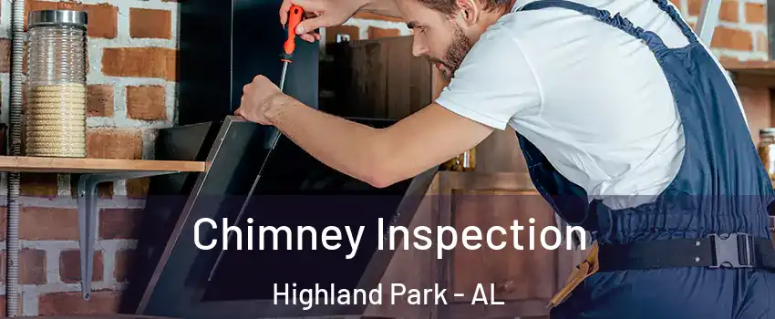Chimney Inspection Highland Park - AL