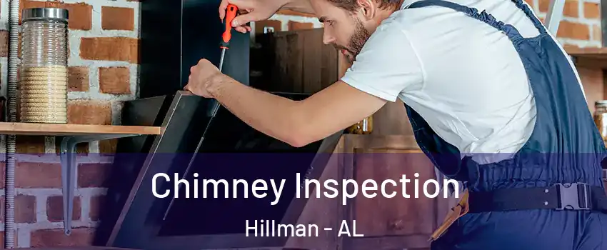 Chimney Inspection Hillman - AL