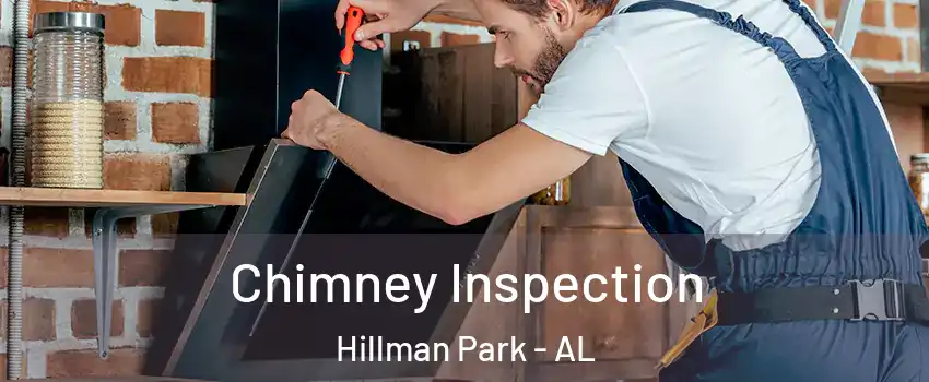 Chimney Inspection Hillman Park - AL