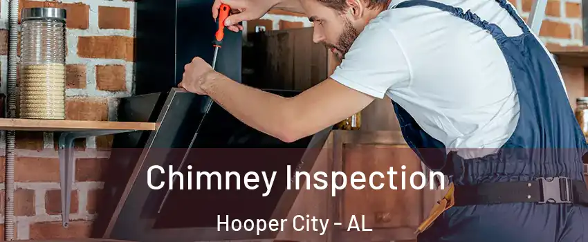 Chimney Inspection Hooper City - AL