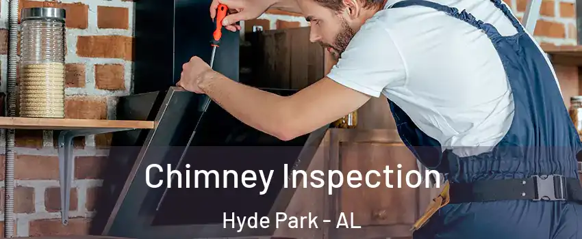 Chimney Inspection Hyde Park - AL