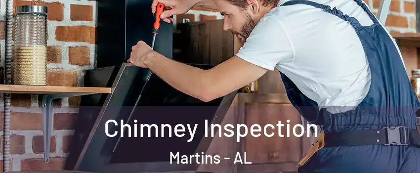 Chimney Inspection Martins - AL
