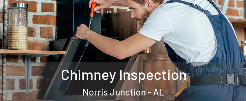 Chimney Inspection Norris Junction - AL