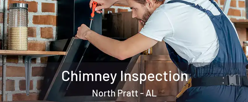 Chimney Inspection North Pratt - AL