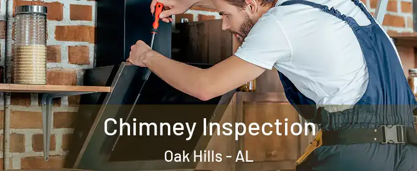 Chimney Inspection Oak Hills - AL