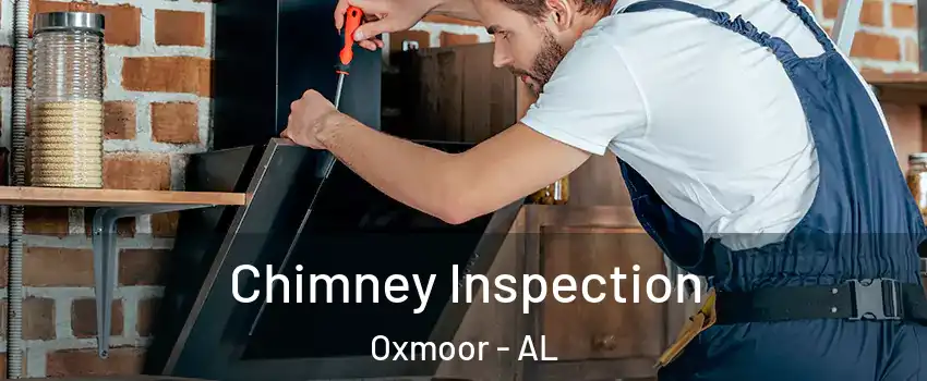 Chimney Inspection Oxmoor - AL