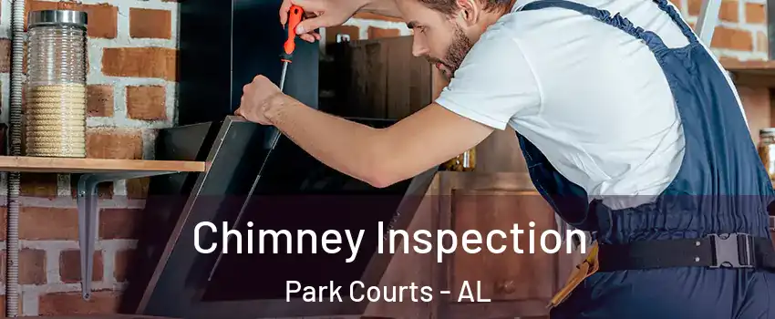 Chimney Inspection Park Courts - AL