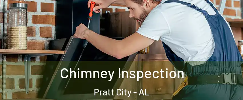 Chimney Inspection Pratt City - AL