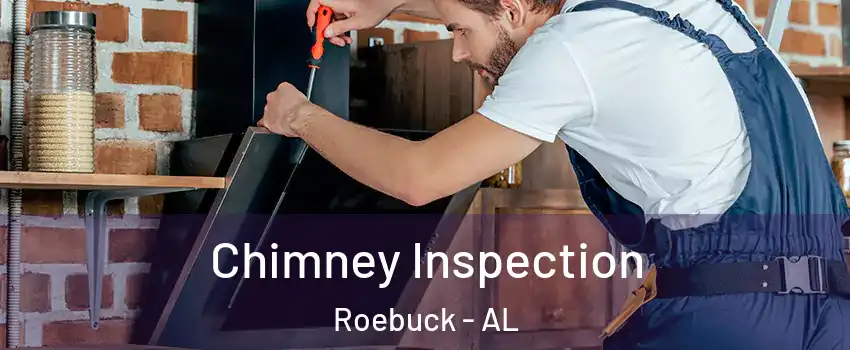 Chimney Inspection Roebuck - AL