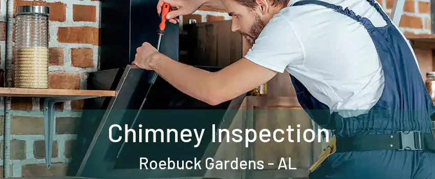 Chimney Inspection Roebuck Gardens - AL