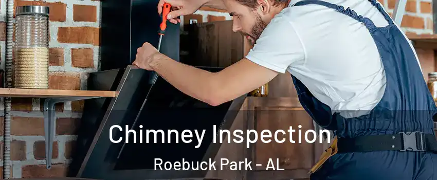Chimney Inspection Roebuck Park - AL