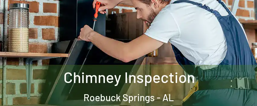 Chimney Inspection Roebuck Springs - AL