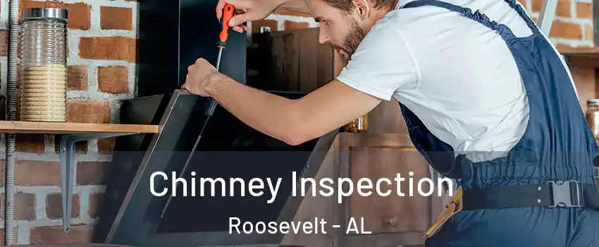 Chimney Inspection Roosevelt - AL