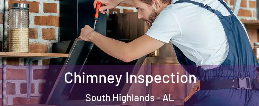 Chimney Inspection South Highlands - AL
